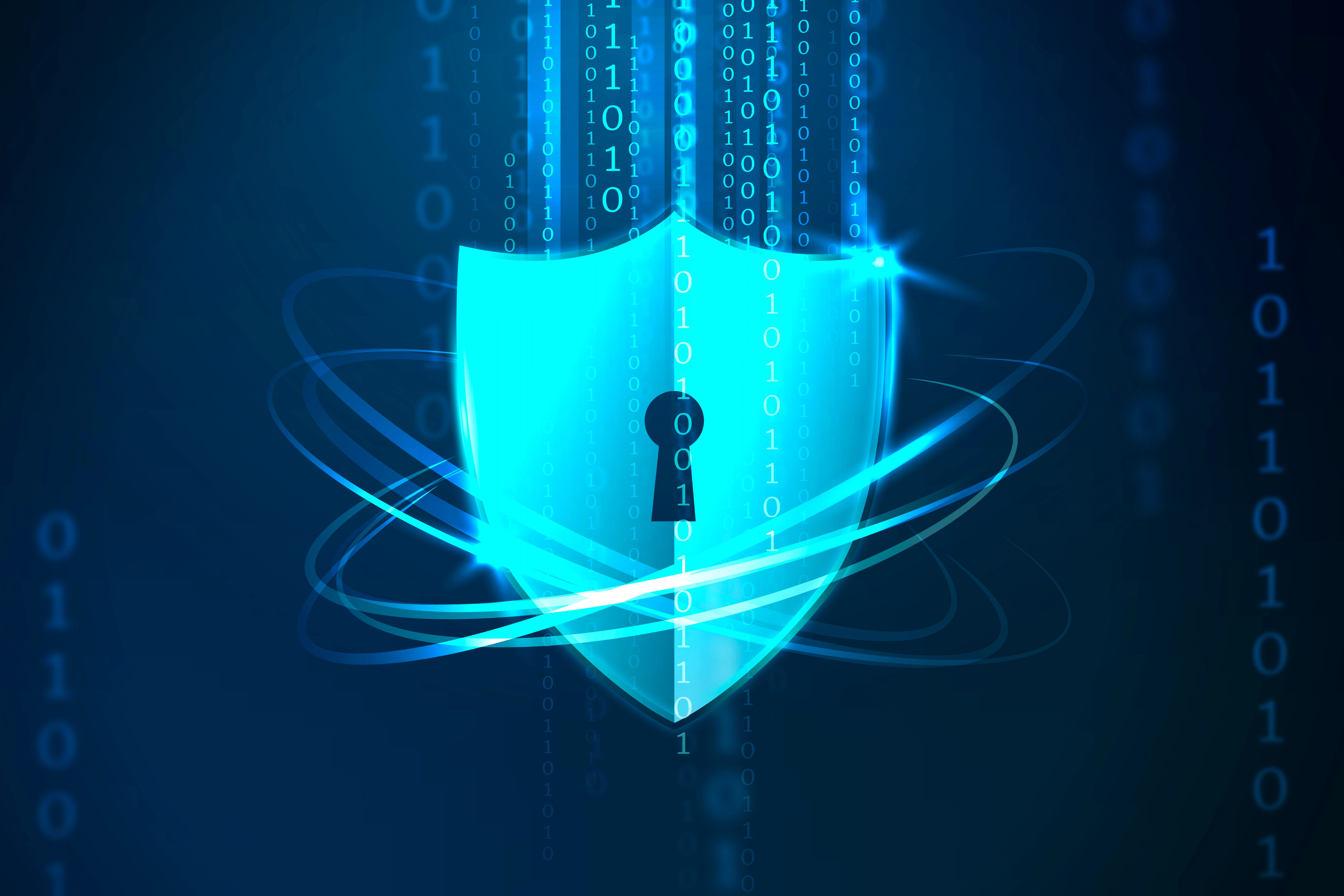 Cyber Safety and Digital Defense short term hands on course Goa Mapusa Panjim ethical hacking basics
